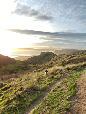 three cliffs walk, walk to three cliffs, three cliffs bay walk, walk to three cliffs bay, three cliffs bay parking,three cliffs beach, three cliffs walk, gower beach, pobbles beach, three cliffs shop, three cliffs coffee, three cliffs parking